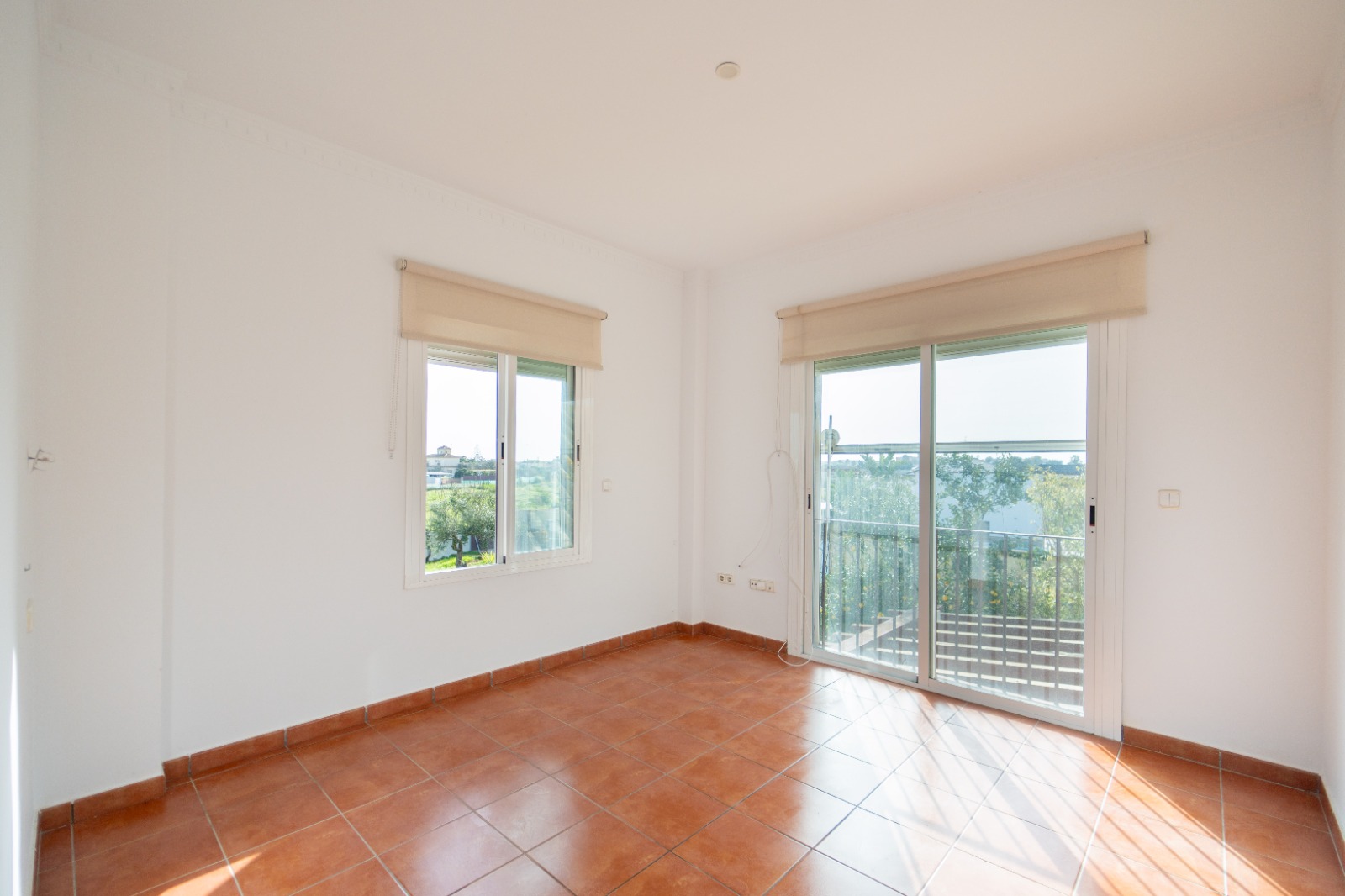 Casa o chalet independiente en venta en Camino de la Jara s/n — Imagen 19